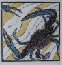 cataloge_BS_crab.JPG