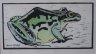 catalogue_big_frog.JPG