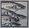 catalogue_whiting_heads_KG.JPG