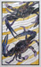crabs2_800.jpg