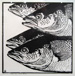 salmon_800.jpg