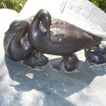 Wirranendi Ducks