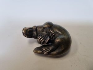 Platypus at Play